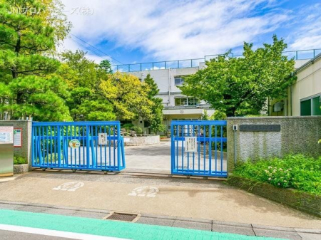 ���ӊ��@���c�J�旧�쑽�����w�Z�@����500m